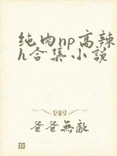 纯肉np高辣文h合集小说封面