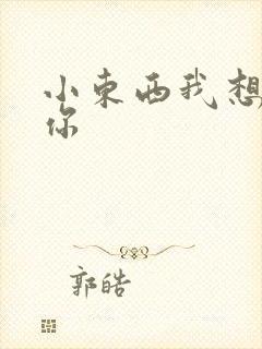 小东西我想弄坏你