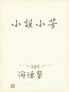 小说小芳