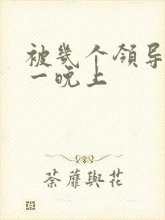 被几个领导玩弄一晚上