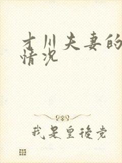 才川夫妻的恋爱情况封面