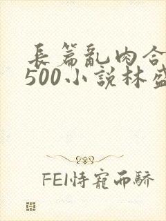 长篇乱肉合集乱500小说林盛封面