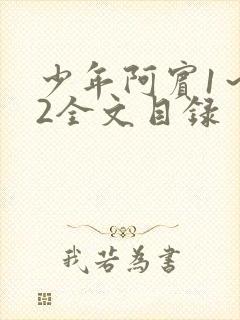 少年阿宾1～72全文目录