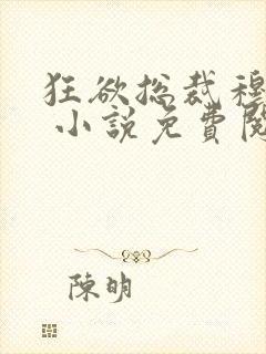 狂欲总裁穆非雪 小说免费阅读