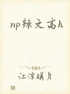 np辣文高h