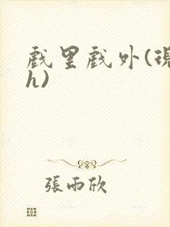 戏里戏外(现场h)