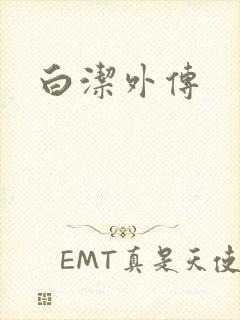 白洁外传