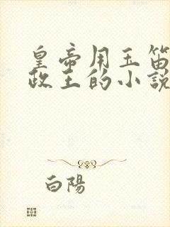 皇帝用玉笛整摄政王的小说封面