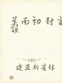 叶南初 封言小说