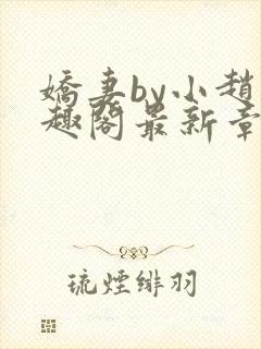 娇妻by小赵笔趣阁最新章节更新时间