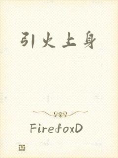 引火上身封面