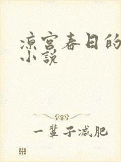 凉宫春日的忧郁小说