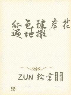 红色彼岸花花瓣遍地撒