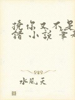 挠你又不是我的错 小说 笔趣阁