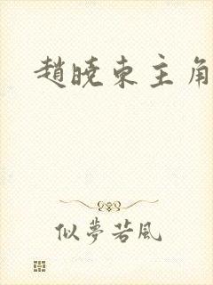 赵晓东主角小说