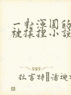 一对浑圆的胸乳被揉捏小说