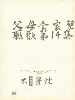 父母全家儿女大联欢第14集封面