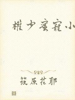 权少蜜宠小娇妻