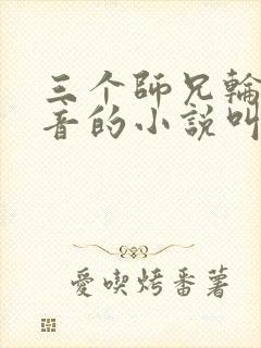 三个师兄轮流上音的小说叫什么