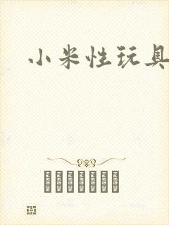 小米性玩具日记