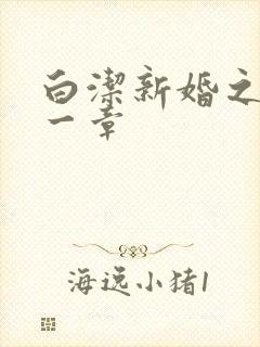 白洁新婚之夜第一章封面