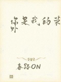 你是我的荣耀番外