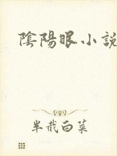 阴阳眼小说