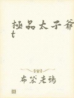 极品太子爷txt封面