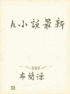 h小说最新
