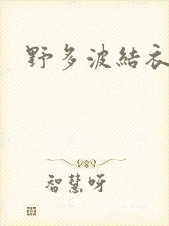 野多波结衣