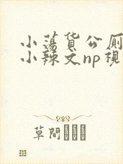 小荡货公厕h文小辣文np视频