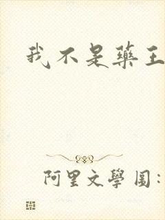 我不是药王封面