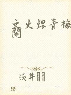 文火煨青梅笔趣阁封面