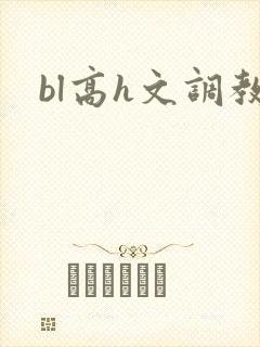 bl高h文调教