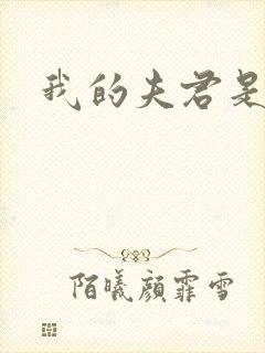 我的夫君是冥王封面