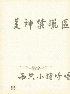 美神禁猎区封面