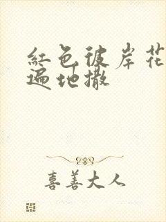 红色彼岸花花瓣遍地撒