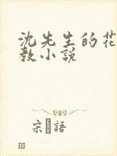 沈先生的花式管教小说封面