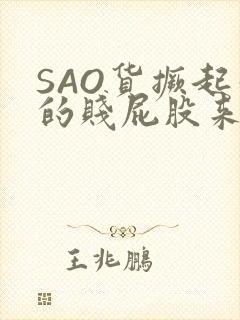 SAO货撅起你的贱屁股来