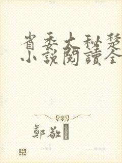 省委大秘楚东恒小说阅读全文