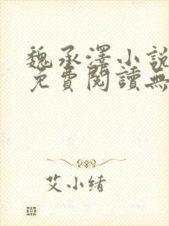 魏承泽小说全文免费阅读无弹窗笔趣