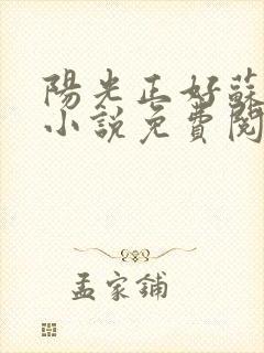 阳光正好苏玥玥小说免费阅读无弹窗