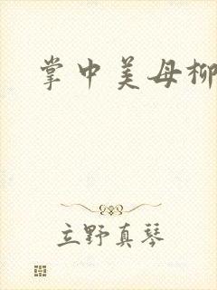 掌中美母柳玉茹封面