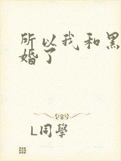 所以我和黑粉结婚了