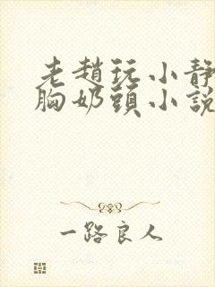 老赵玩小静揉捏胸奶头小说