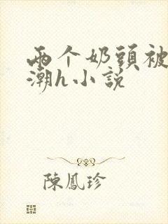 两个奶头被捏高潮h小说