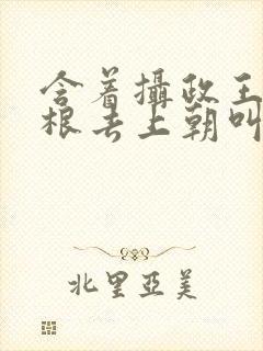 含着摄政王的紫根去上朝叫什么封面