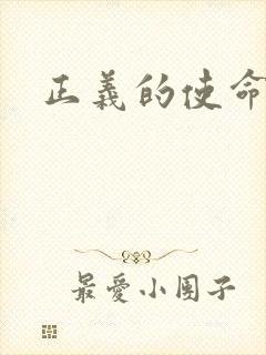 正义的使命小说