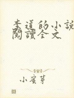 李道的小说免费阅读全文封面