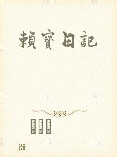 赖宝日记封面